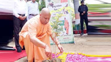 Photo of जिले-जिले जाकर पौधे लगाएंगे योगी के मंत्री, अयोध्या-आजमगढ़ में सीएम योगी…