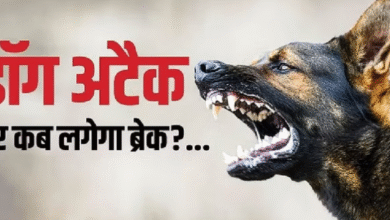 Photo of कानपुर में लावारिस कुत्तों ने बीबीए छात्रा पर बोला हमला